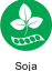 6 SOJA